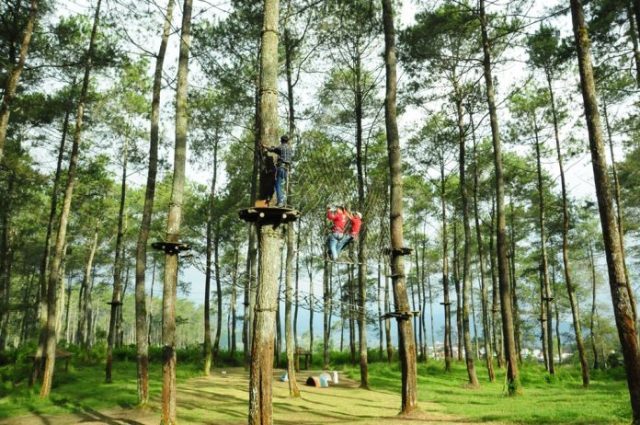 Bandung Treetop Adventure Park di lembang