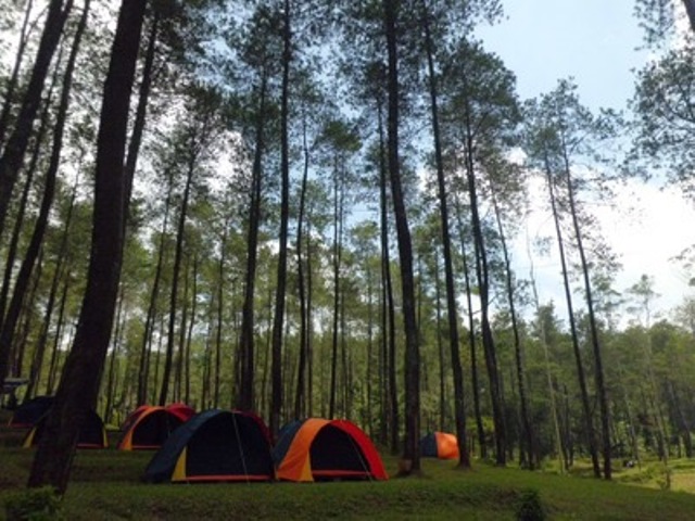 Camping Ground Terminal Wisata Grafika Cikole - Tempat Outbound di Bandung - Tempat Outbound di Lembang - Tempat Outbound di Cikole