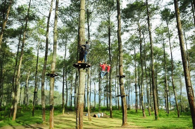 Treetop Adventure Park Bandung Outbound Lembang-Outbound Bandung