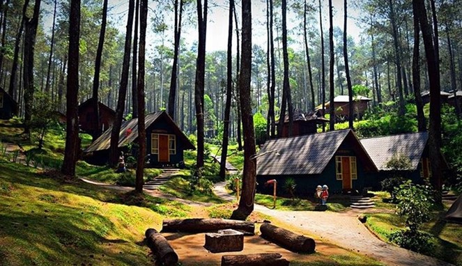Hutan Cikole Lembang - Tempat Wisata Outbound Di Bandung Yang Enak Untuk Family Gathering