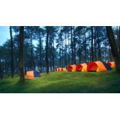 Camping Ground  (0)