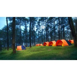 Camping Ground 