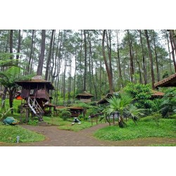 Paket Wisata Jungle Tracking